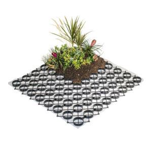 4_1_additional image.jpg image